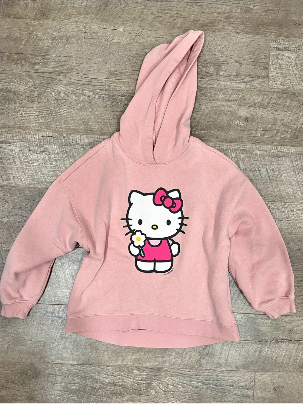 Hello Kitty x GAP Girls Pink Fleece Lined Hoodie Sweatshirt XL (12)